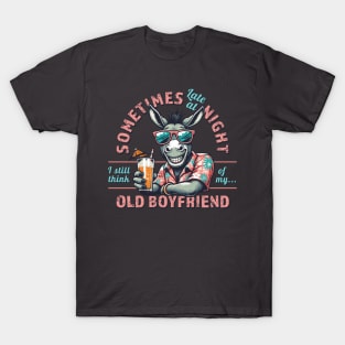 Funny Old Boyfriend Donkey Gift T-Shirt